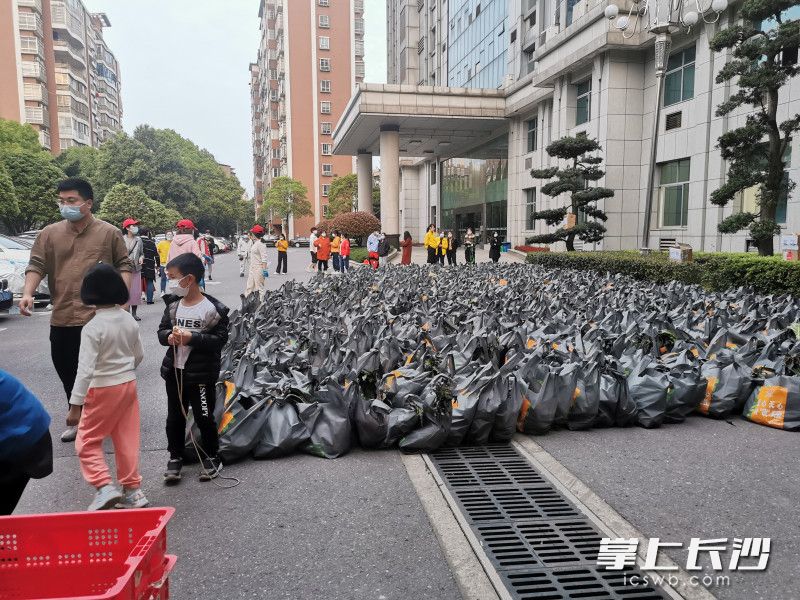 780份蔬菜包送到了湘林小區(qū)院內(nèi)。長沙晚報實(shí)習(xí)生 羅楊 攝